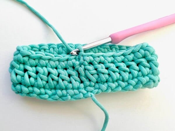 Alpine stitch crochet