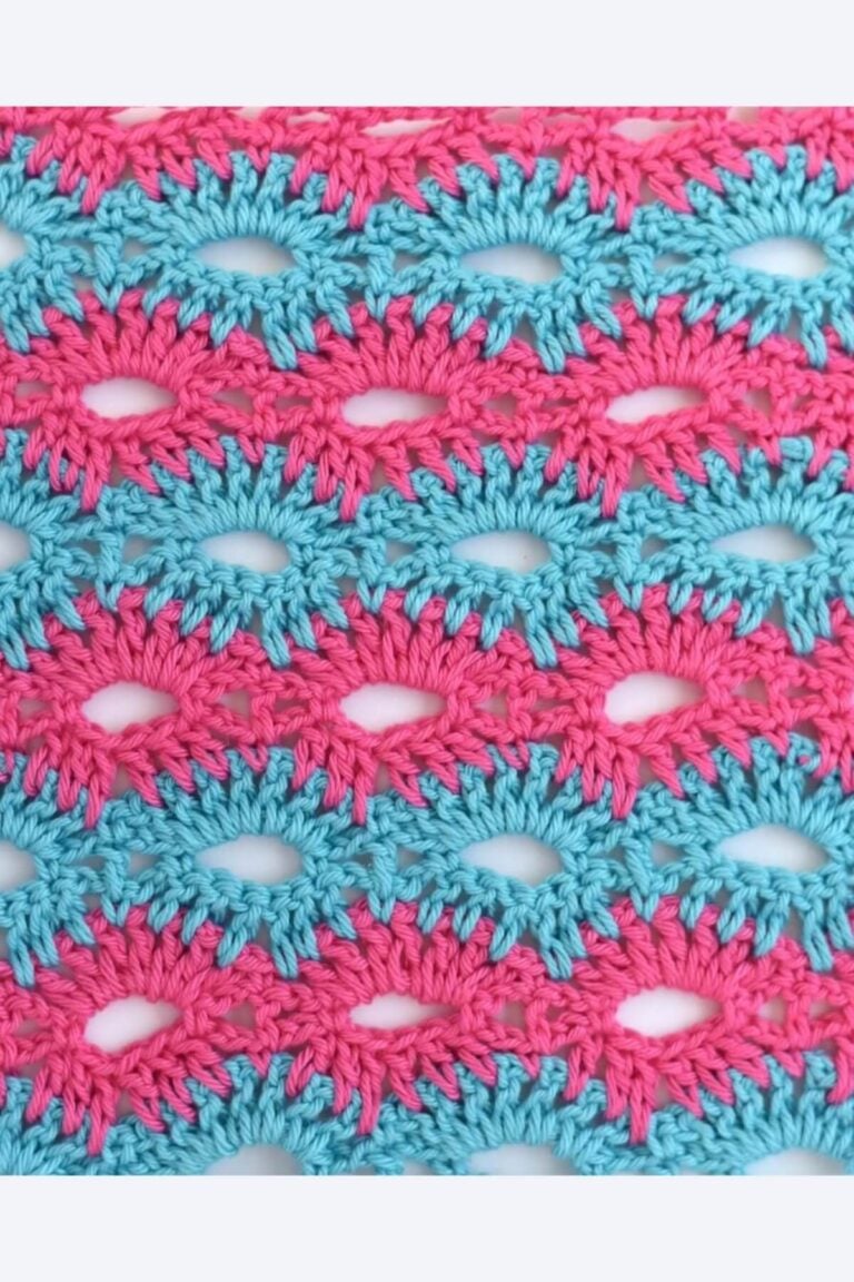 Open Catherine’s Wheel Stitch crochet tutorial with a textured two-color stitch sample.